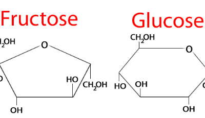 گلوکز و فروکتوز - تفاوت در متابولیسم در بدن -