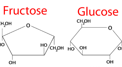 گلوکز و فروکتوز - تفاوت در متابولیسم در بدن -